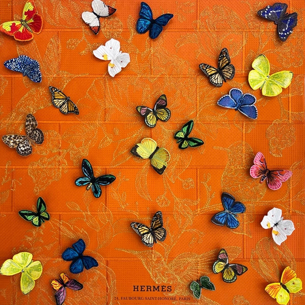HUMMING BIRD TOILE (HERMES) MOD15942