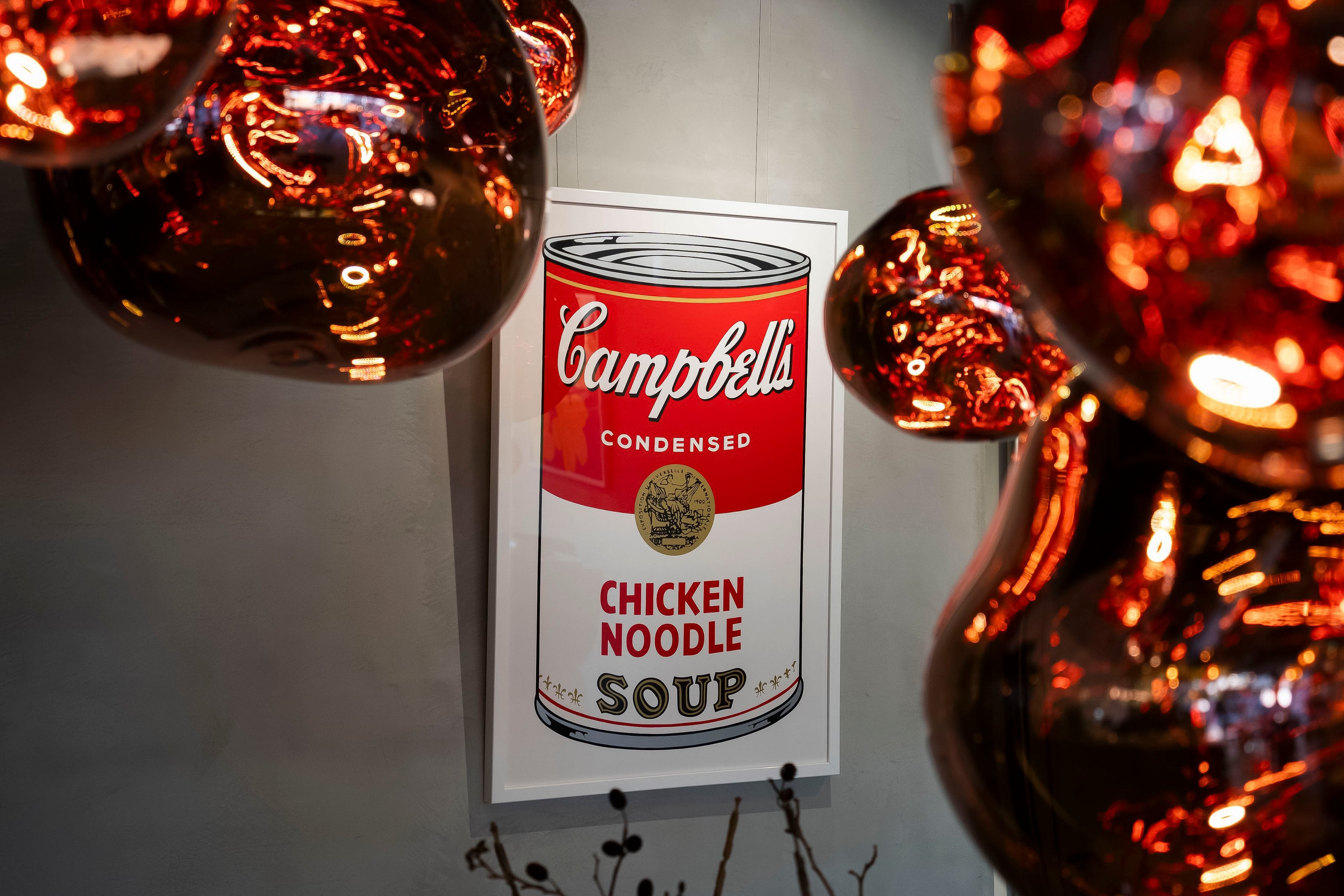 Campbell's Soup Can
 S1 CHICKEN NOODLE